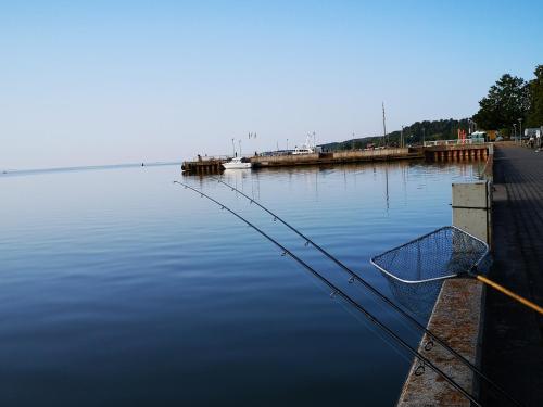 Billede fra billedgalleriet på Rėzos Apartments i Juodkrantė