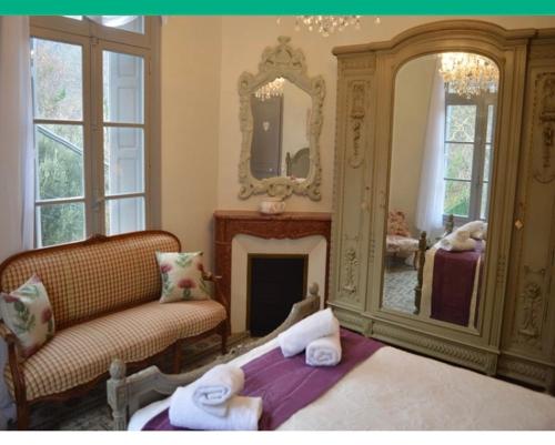 sala de estar con chimenea y espejo en Le Petit Chateau, en Puilaurens