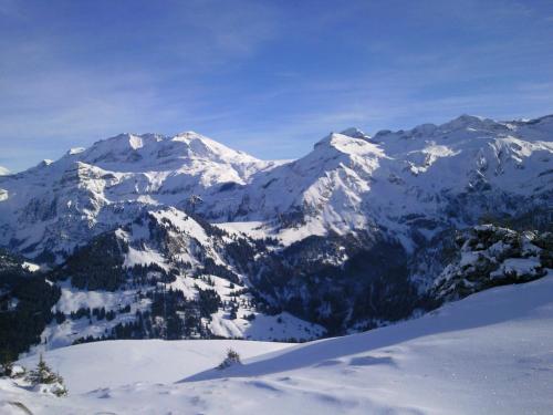 a snow covered mountain range with trees in the foreground at Schweiz ,Lenk Ferienwohnung,Kinderfreundl,Seniorenfreundlich in Lenk