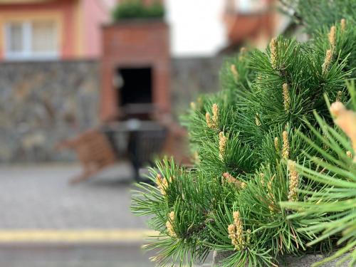 Φωτογραφία από το άλμπουμ του Mini hotel Solnce Karpat σε Polyana