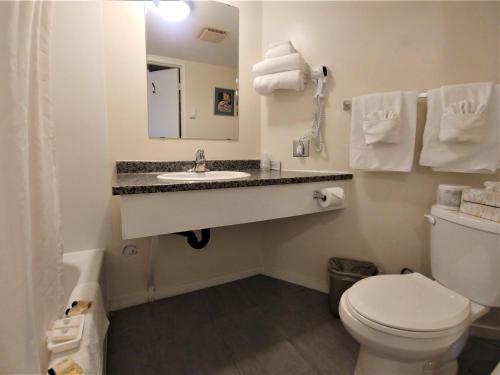 a bathroom with a white toilet and a sink at Wessex Inn By The Sea in Cowichan Bay
