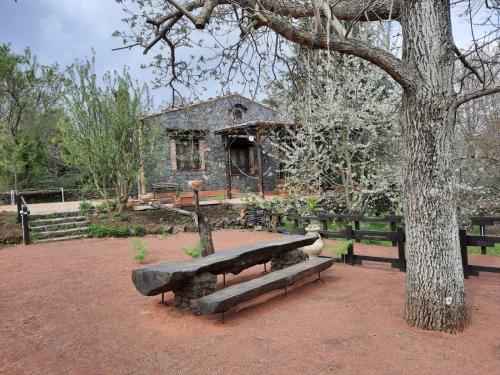a bench in front of a building with a tree at Casa etna in Bronte