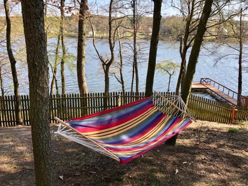 a hammock hanging from a tree next to a river at Domek nad jeziorem w Gorzewie in Gostynin