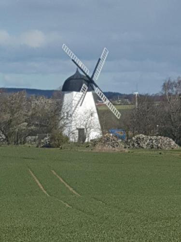 a windmill in the middle of a green field at Apartamenty Molle in Åkirkeby