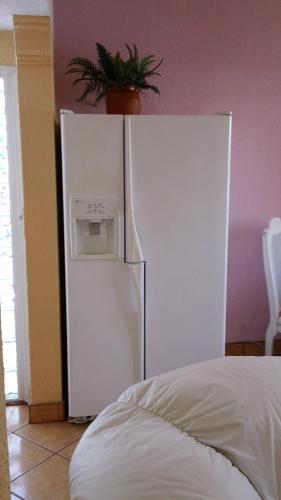 a white refrigerator with a plant on top of it at Welcome To Casa OLE Playas de Tijuana 5-Rooms 14-Guests close to Shoping Center & Beach in Tijuana