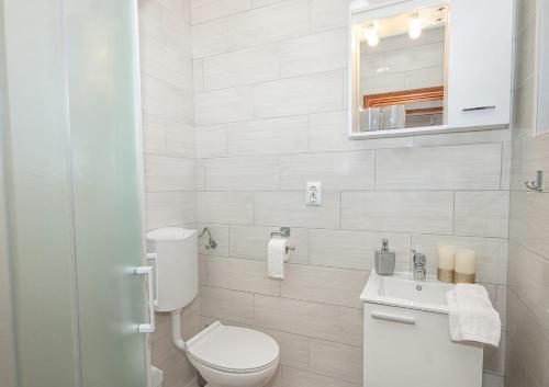 a white bathroom with a toilet and a sink at Apartments Escape in Drežnik Grad