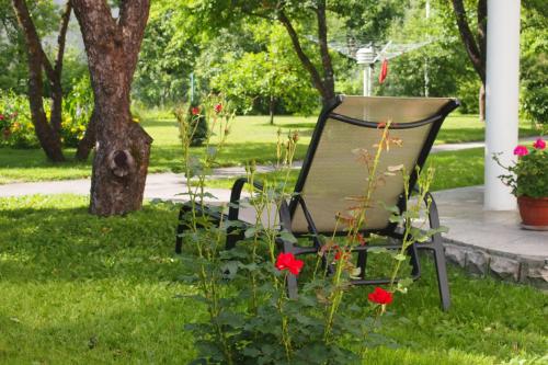 a chair sitting in the grass next to a bush with red flowers at Männi Peremaja in Haapsalu
