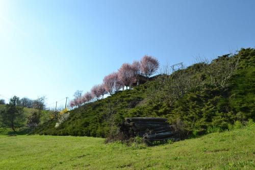 Φωτογραφία από το άλμπουμ του La Locanda di Valbella στο Άστι