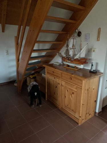 ein Hund steht in einem Zimmer mit einem Boot auf der Treppe in der Unterkunft Ferienhaus Anna in Dorum Neufeld