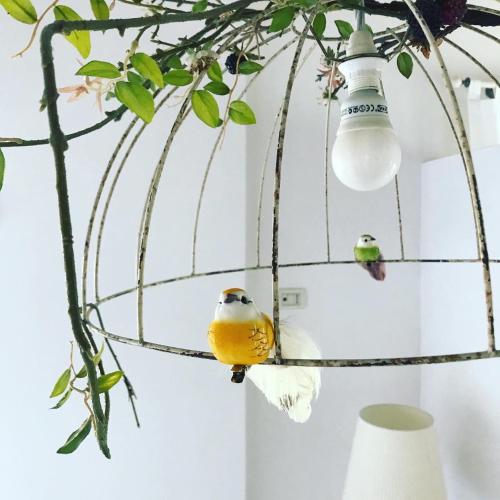 two birds sitting on a hanging orb light fixture at Castel Apartment in Castellamonte