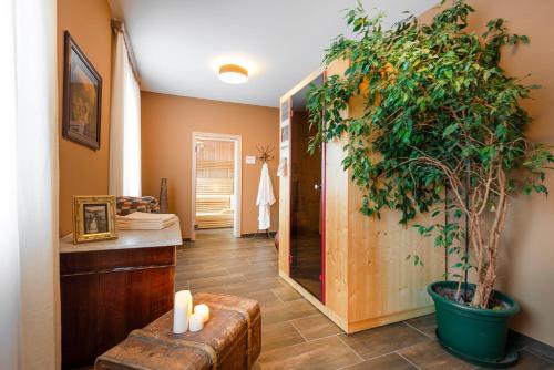 a bathroom with a large potted plant in a room at Villa Excelsior Hotel & Kurhaus in Bad Gastein