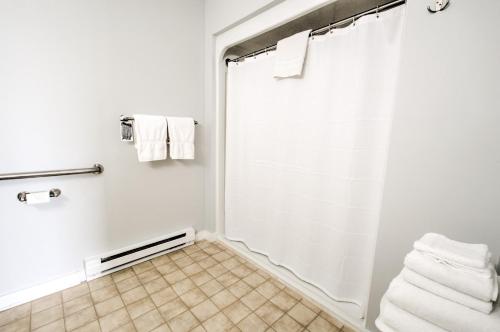 a bathroom with a shower with white towels at East Shore Lodging in Hawley