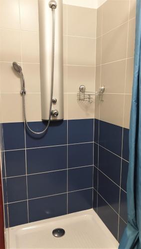 une salle de bain avec douche aux carreaux bleus dans l'établissement Hostel les Terrasses du Roc, à Saint-André-de-Roquepertuis