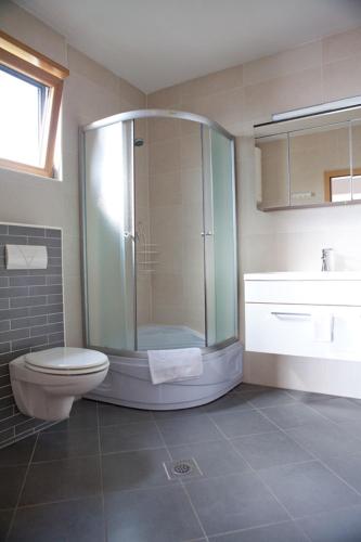 a bathroom with a shower and a toilet and a sink at Villa Gloria in Mimice