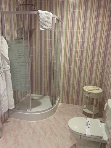 a bathroom with a shower and a toilet at Готель Ангел на Великій Кільцевій in Kyiv