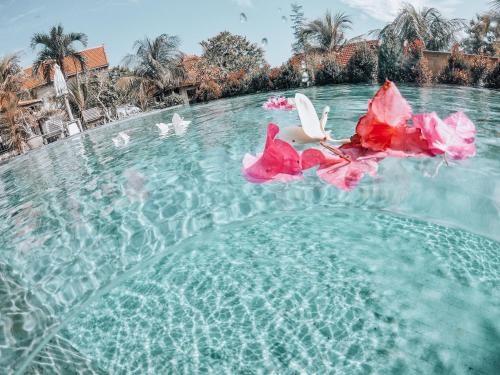 Бассейн в Uluwatu Breeze Village или поблизости
