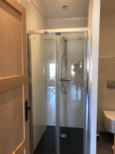 a shower with a glass door in a bathroom at Le gîte des moineaux in Argeliers