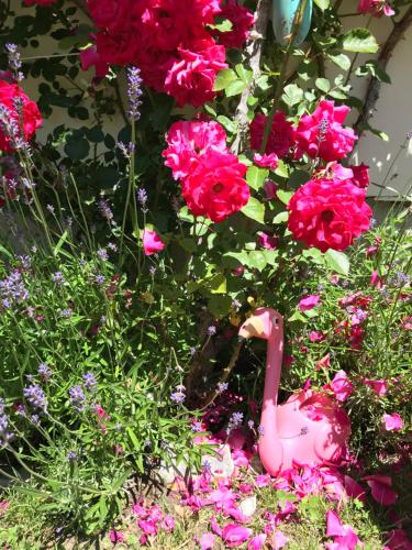 a pink toy flamingo sitting in front of flowers at Villa Excelsior Hotel & Kurhaus in Bad Gastein