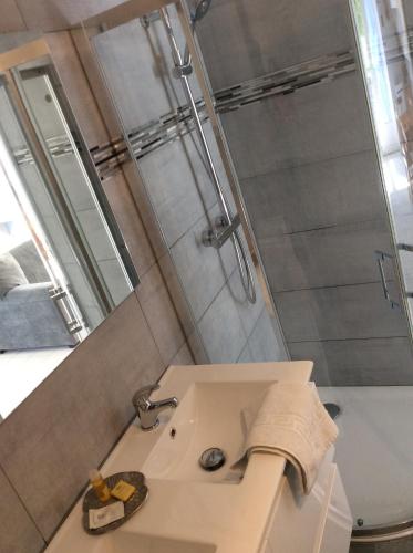 ein Bad mit einem Waschbecken und einer Dusche in der Unterkunft GITE CHEZ XAVIER 2Mn DU CIRCUIT in Magny-Cours