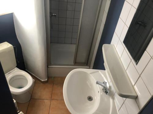 een badkamer met een wastafel, een toilet en een douche bij L’Appart’ de Spa in Spa