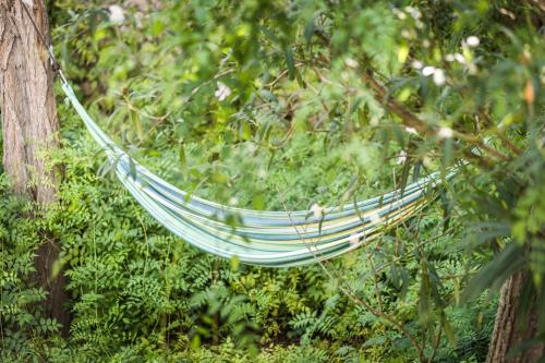 a hammock hanging from a tree in a forest at Hotel Rural Biniarroca - Adults Only in Sant Lluis