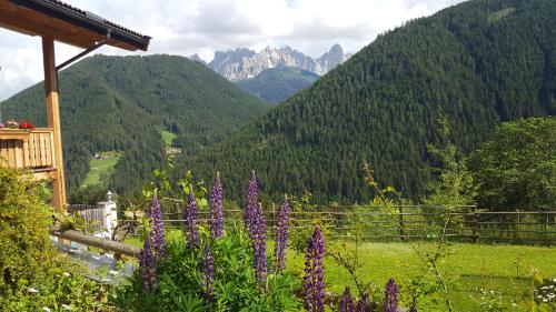a garden with purple flowers and mountains in the background at Kellnerhof in Nova Levante