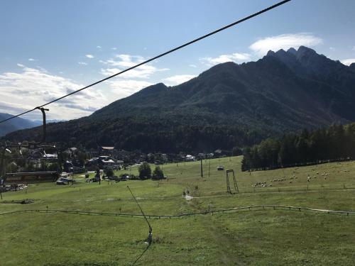 a field with a bunch of animals in a field with mountains at Apartments Blažič in Kranjska Gora