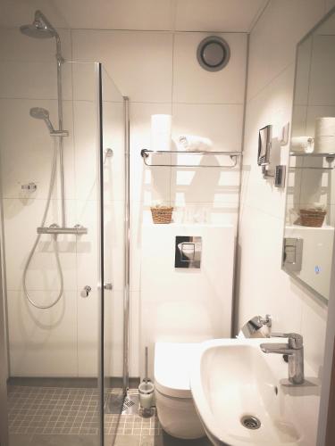 a bathroom with a shower and a toilet and a sink at Grotli Høyfjellshotell in Grotli