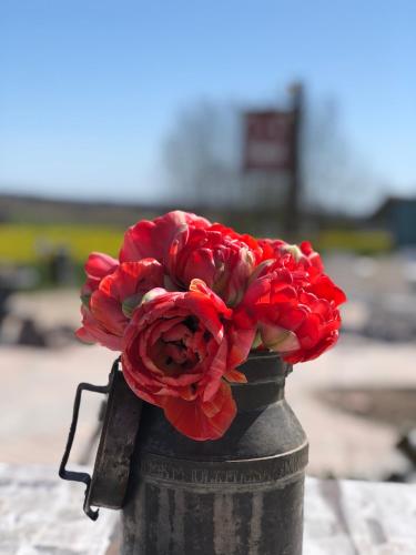 a bouquet of red flowers in a black vase at Sydkustens at Pillehill in Skivarp