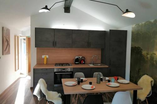 Η κουζίνα ή μικρή κουζίνα στο Hiša Pri Koritu - Apartma Stol