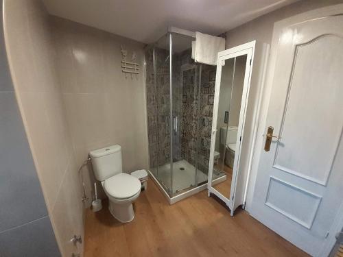 uma casa de banho com um WC e uma cabina de duche em vidro. em Casa Manolita em Buellas