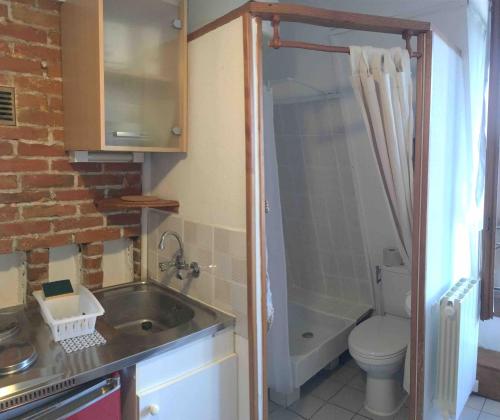 een kleine badkamer met een wastafel en een toilet bij Studio Eléphants 1 in Chambéry