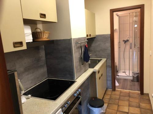 a kitchen with a sink and a counter top at 2type4 - Apartments in Brauneberg