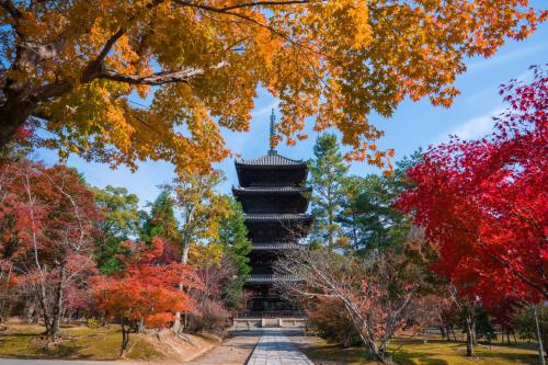 a pagoda in a park with autumn leaves at Hotel Grand Bach Kyoto Select in Kyoto