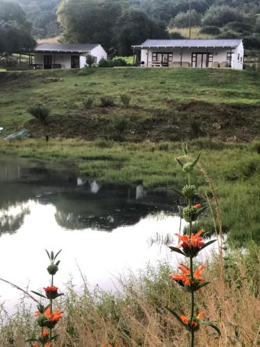 a house in a field with a pond and flowers at Newstead Farm - Country Cottages in Curryʼs Post