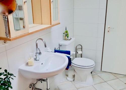 a white bathroom with a toilet and a sink at Ferienwohnung Boller II in Marktredwitz