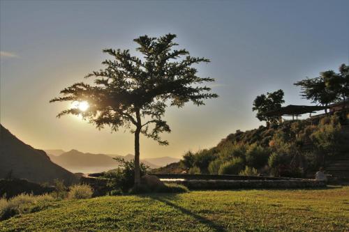 a tree on top of a hill with the sun setting at Bobbejaans Kloof Mountain Retreat in Montagu
