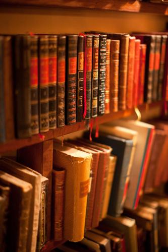 Perpustakaan di rumah tamu ini
