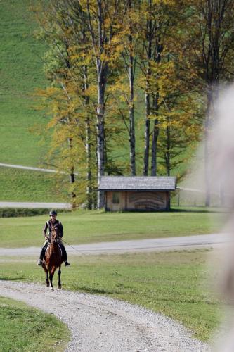 a person riding a horse down a dirt road at Gasthof Jagersberger in Hollenstein an der Ybbs