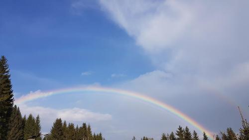 a rainbow in the sky over some trees at Knusperhäuschen Maria Nikoletta in Witra