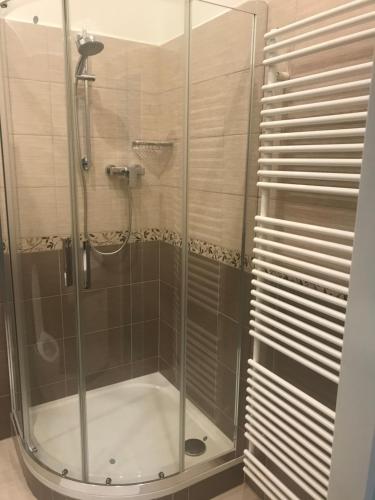 a shower with a glass door in a bathroom at Penzion Na Vápence in Liberec