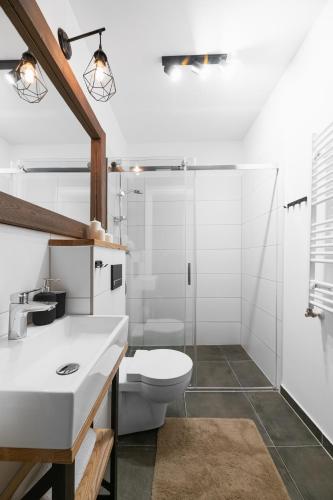 a bathroom with a toilet and a glass shower at Aparthotel Narciarska 2 in Korbielów