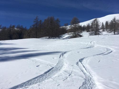 a snow covered slope with tracks in the snow at Chesa Viletta in La Punt-Chamues-ch
