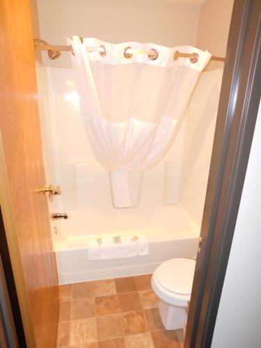 a bathroom with a toilet and a shower with a curtain at Northwoods Best Inn - Chetek in Chetek