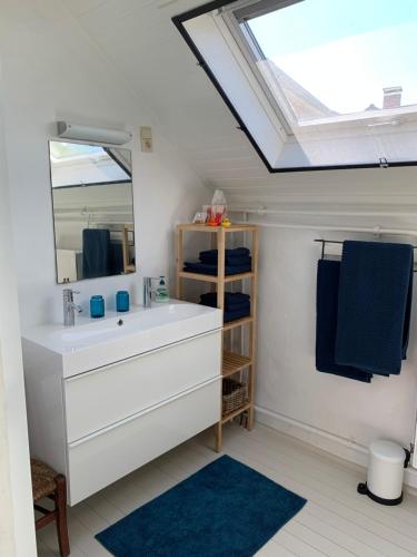 a bathroom with a white sink and a skylight at Vakantiehuis Haspengouw - Pastorij Mettekoven in Mettekoven