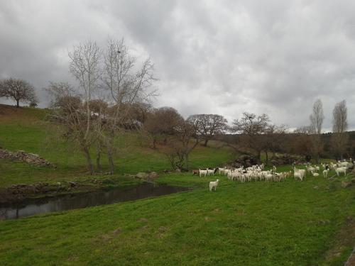 Gallery image of Agriturismo Pentuma in Chiaramonti