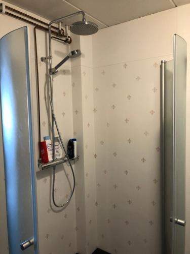 een badkamer met een douche met sterren aan de muur bij Funäs Fjäll Lägenhet in Funäsdalen