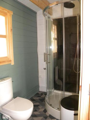 a bathroom with a toilet and a shower at Gîte et Chambres d'hôtes du Domaine du Val Bruant in Arc-en-Barrois