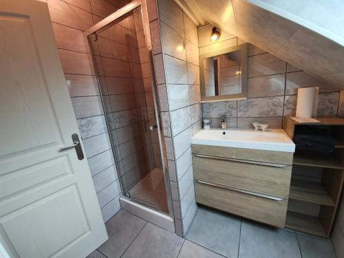 a bathroom with a shower and a sink at le coq du morvan in Bussières