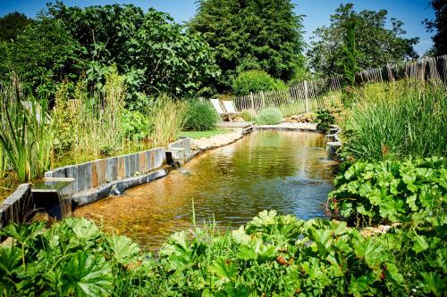 un petit étang au milieu d'un jardin dans l'établissement Domaine de la Juranvillerie, gîte et chambres d'hôtes, à Rigny-Ussé